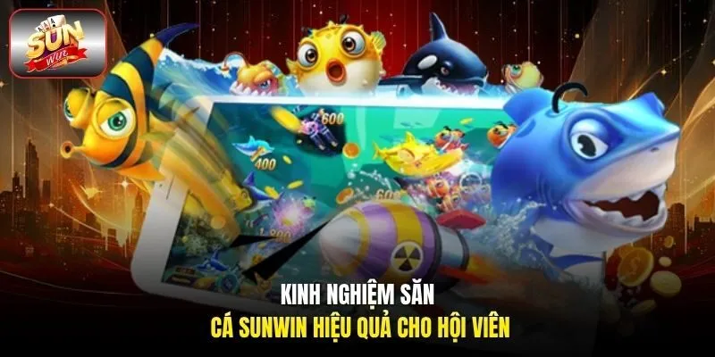 Kinh nghiệm săn cá Sunwin hiệu quả cho hội viên